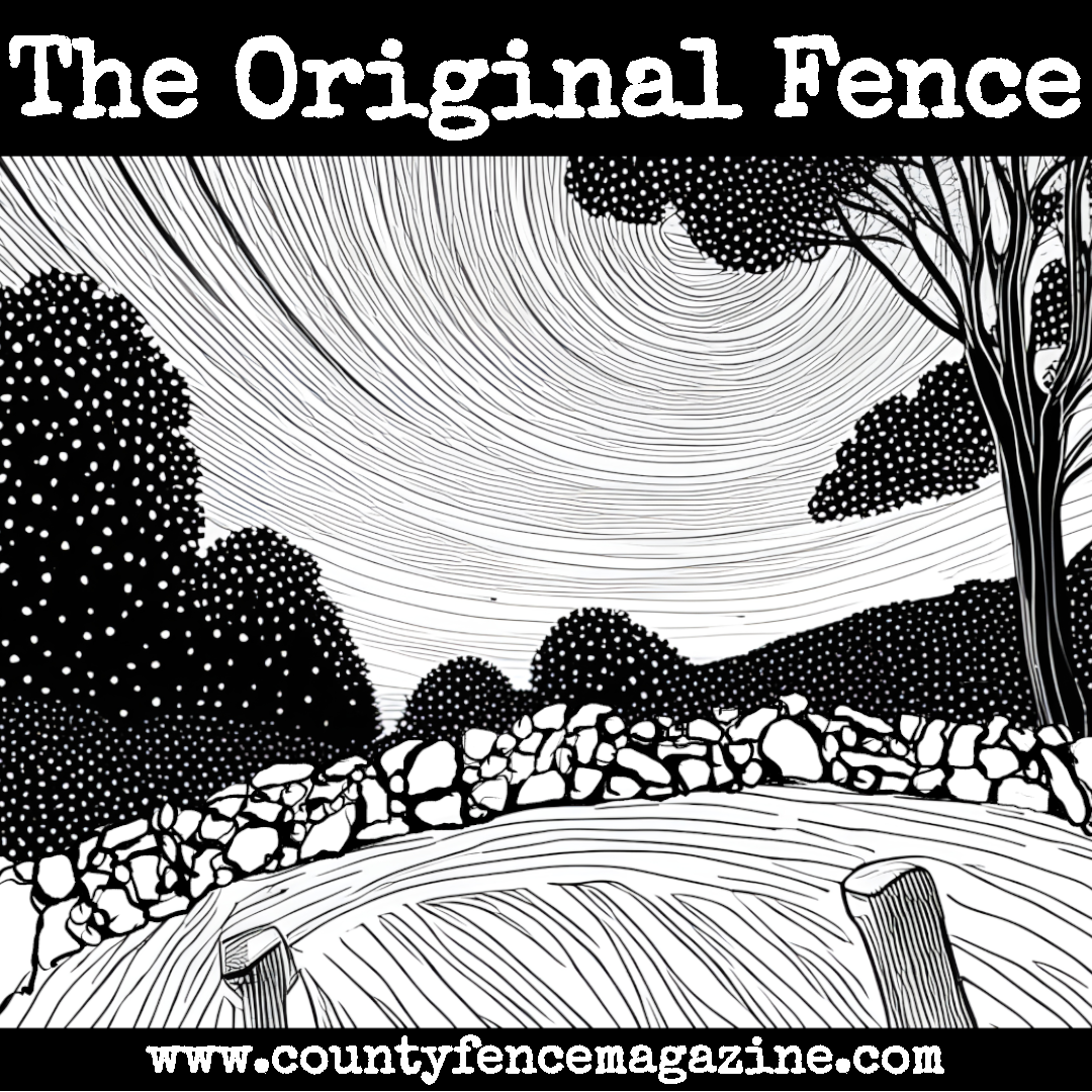 Line drawing of swirling stars over an ancient stone fence with the title "The Original Fence" and County Fence web address.