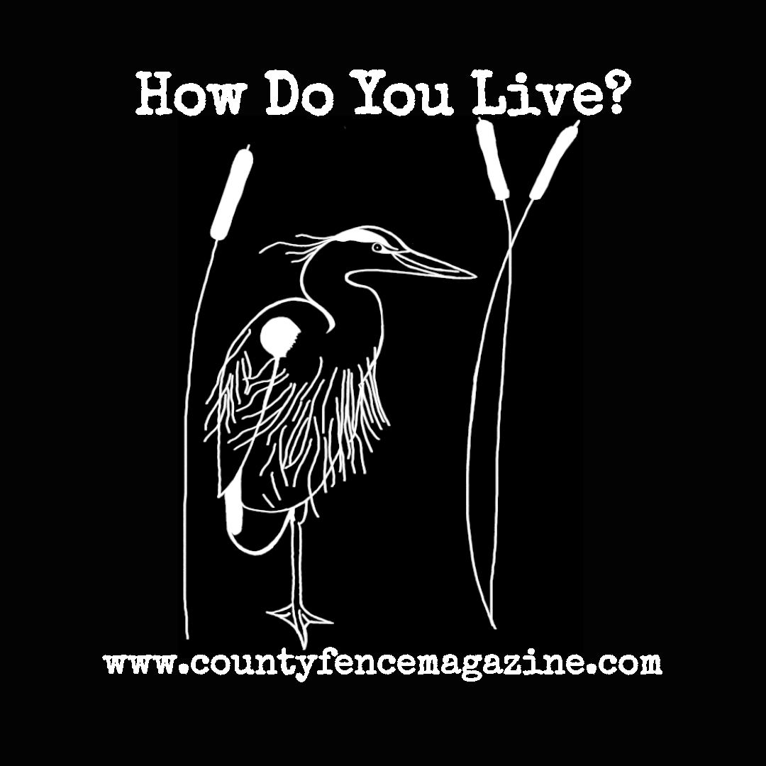 White on black title card for "How Do You Live?" by Jules Octavian. Features a drawing of a great blue heron standing among some reeds.